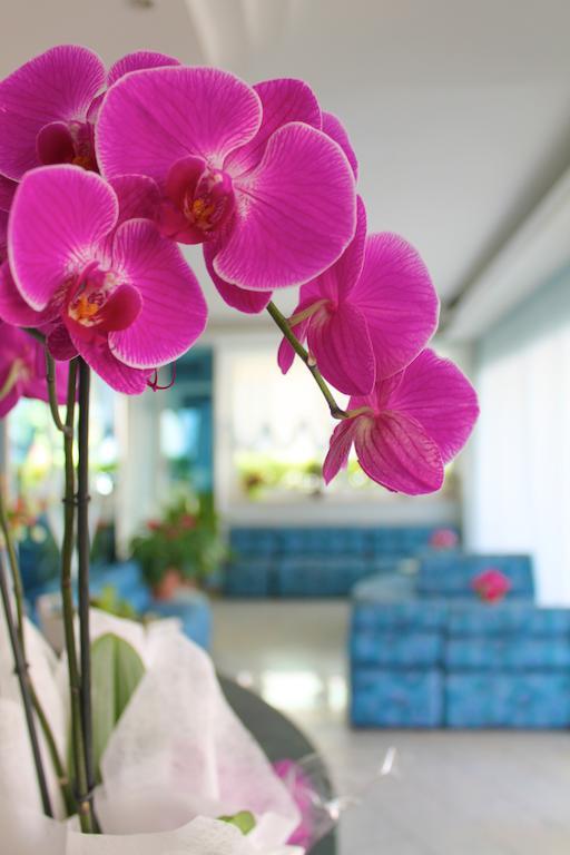 Hotel San Paolo Rimini Eksteriør bilde